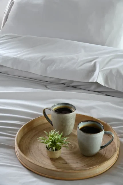 Cearșaf cu elastic Elysee 160X200 cm, culoare in, 100% bumbac - imagine 3